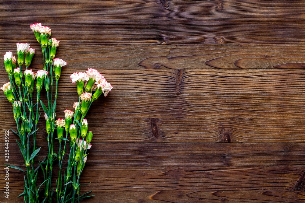 Obraz premium Delicate spring flowers. Small pink carnation on dark wooden background top view copy space