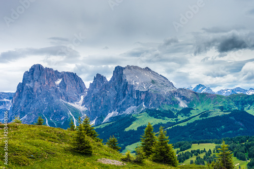 Alpe di Siusi, Seiser Alm with Sassolungo Langkofel Dolomite, a large mountain in the background © SkandaRamana