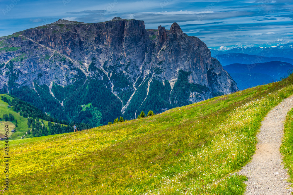 Alpe di Siusi, Seiser Alm with Sassolungo Langkofel Dolomite, a close up of a hillside with a mountain in the background