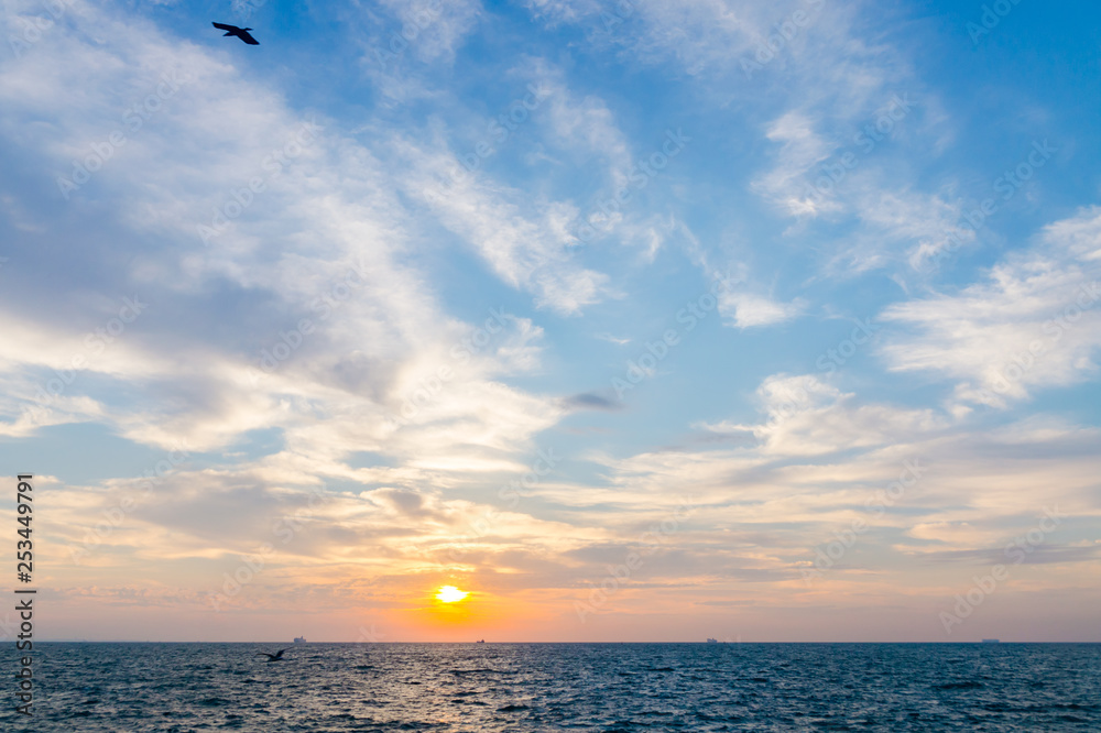朝の海と空と鳥 Stock Photo Adobe Stock