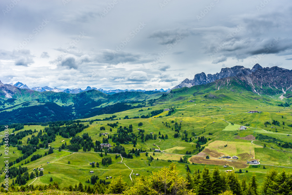 Alpe di Siusi, Seiser Alm with Sassolungo Langkofel Dolomite, lush green field in Seiser Alm Puflatsch Bullaccia