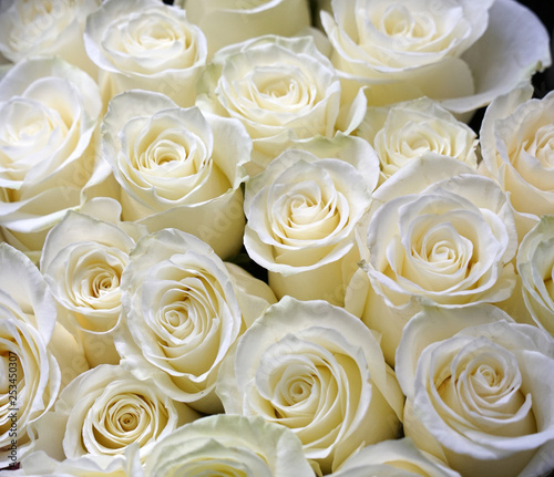 Fresh white roses bouquet flower background 