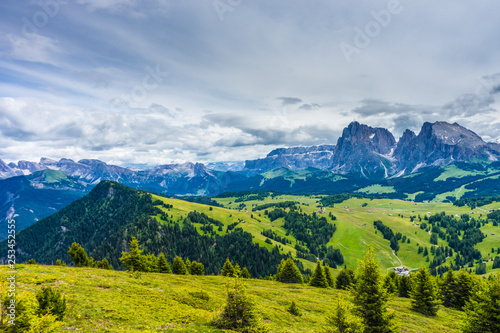 Alpe di Siusi, Seiser Alm with Sassolungo Langkofel Dolomite, a field with a mountain in the background