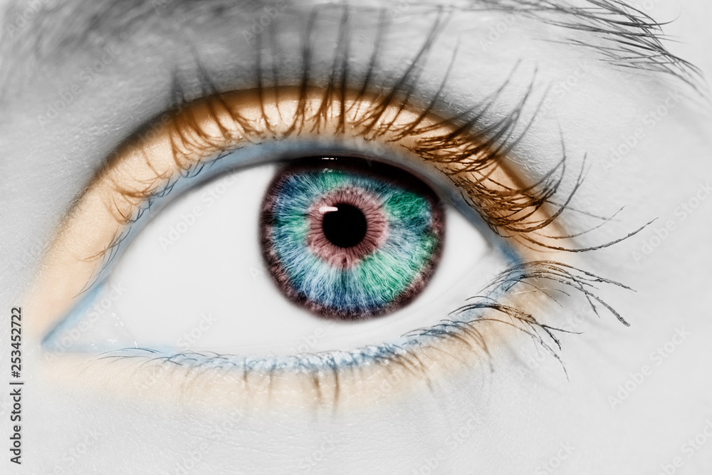 A beautiful insightful look eye. Close up shot A beautiful insightful look eye. Close up shot
