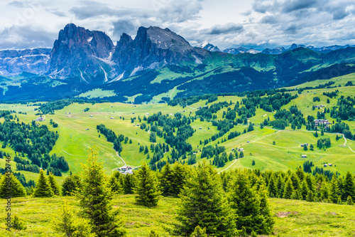 Alpe di Siusi, Seiser Alm with Sassolungo Langkofel Dolomite, lush green field in Seiser Alm Puflatsch Bullaccia