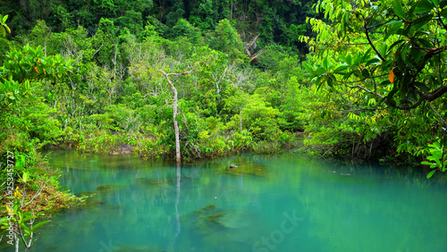 Emerald spring pool among tropical forest beside sea at Krabi province, The south of Thailand. © beelaa