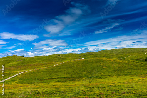 Alpe di Siusi, Seiser Alm with Sassolungo Langkofel Dolomite, a walking winding path in a lush green field photo