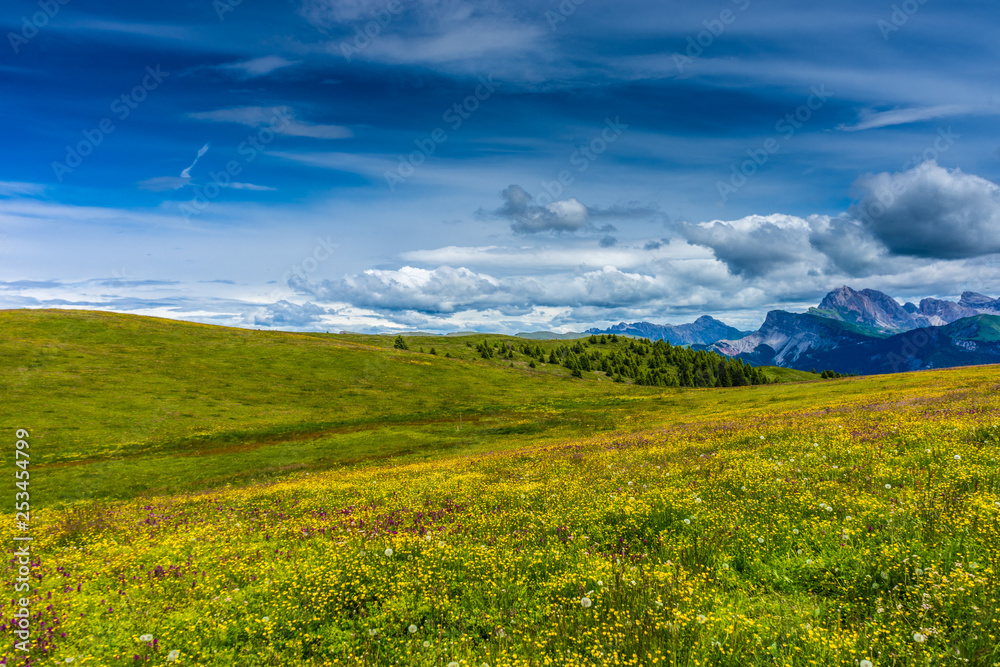 Alpe di Siusi, Seiser Alm with Sassolungo Langkofel Dolomite, a person standing on a lush green field