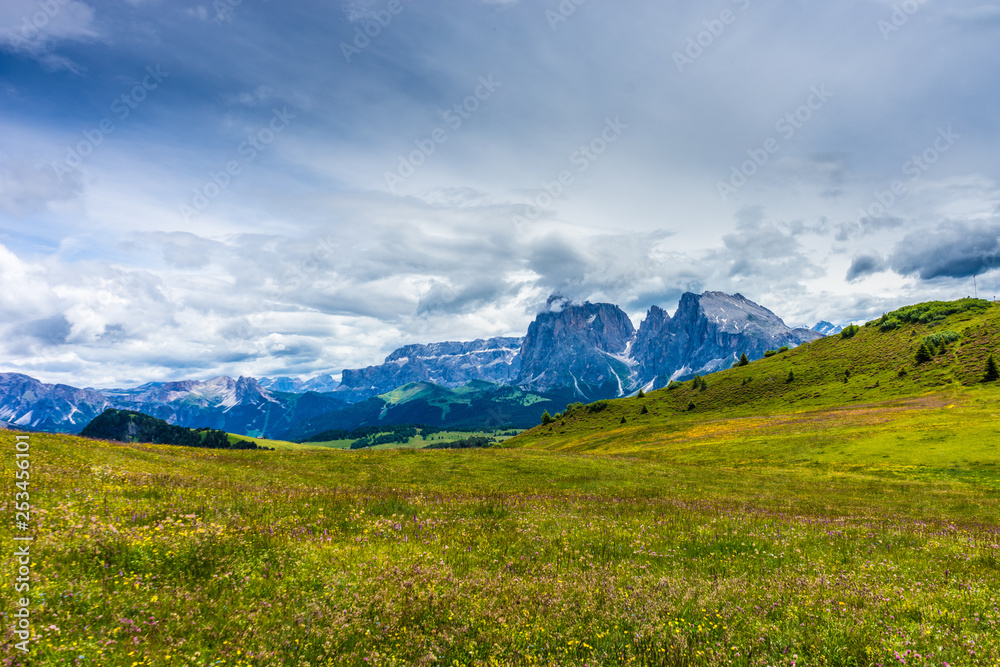 Alpe di Siusi, Seiser Alm with Sassolungo Langkofel Dolomite, a large green field with a mountain in the background Alpe di Siusi, Seiser Alm with Sassolungo Langkofel Dolomite, a large green field with a mountain in the background