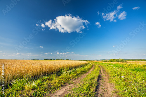 Fototapeta Naklejka Na Ścianę i Meble -  Rural landscape with ground road, wheat field and blue sky in a countryside at summer day