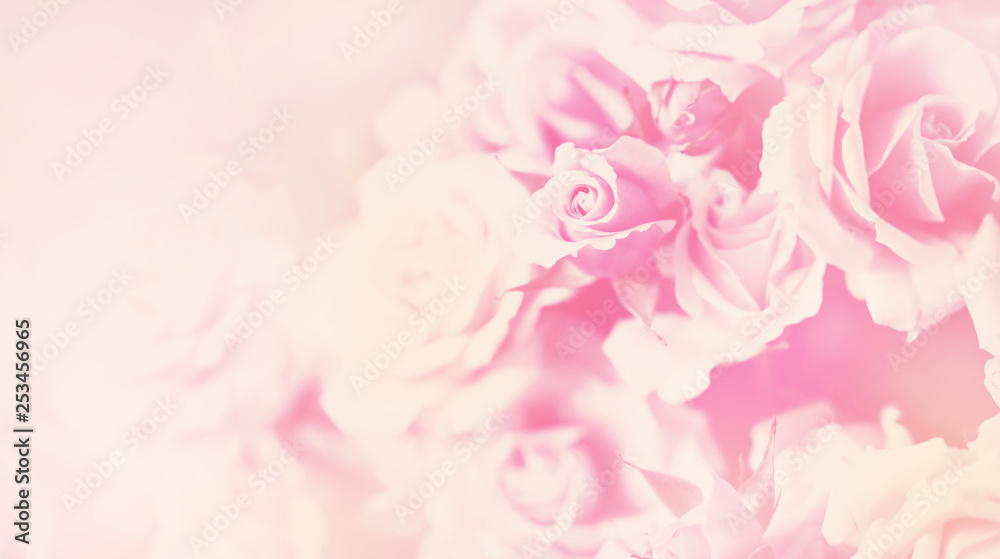 Delicate background with a rose. Pastel background, calm colors. Place to insert text. For card and banner. Sweet color roses in soft style for background Delicate background with a rose. Pastel background, calm colors. Place to insert text. For card and banner. Sweet color roses in soft style for background