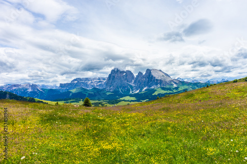 Alpe di Siusi  Seiser Alm with Sassolungo Langkofel Dolomite  a large green field with a mountain in the background