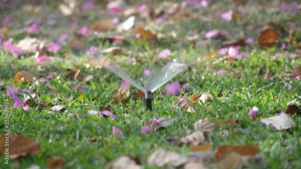 a sprinkle is spraying the water in the green garden a sprinkle is spraying the water in the green garden