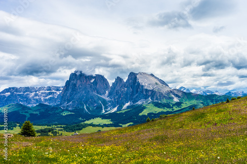 Alpe di Siusi, Seiser Alm with Sassolungo Langkofel Dolomite, a large green field with a mountain in the background