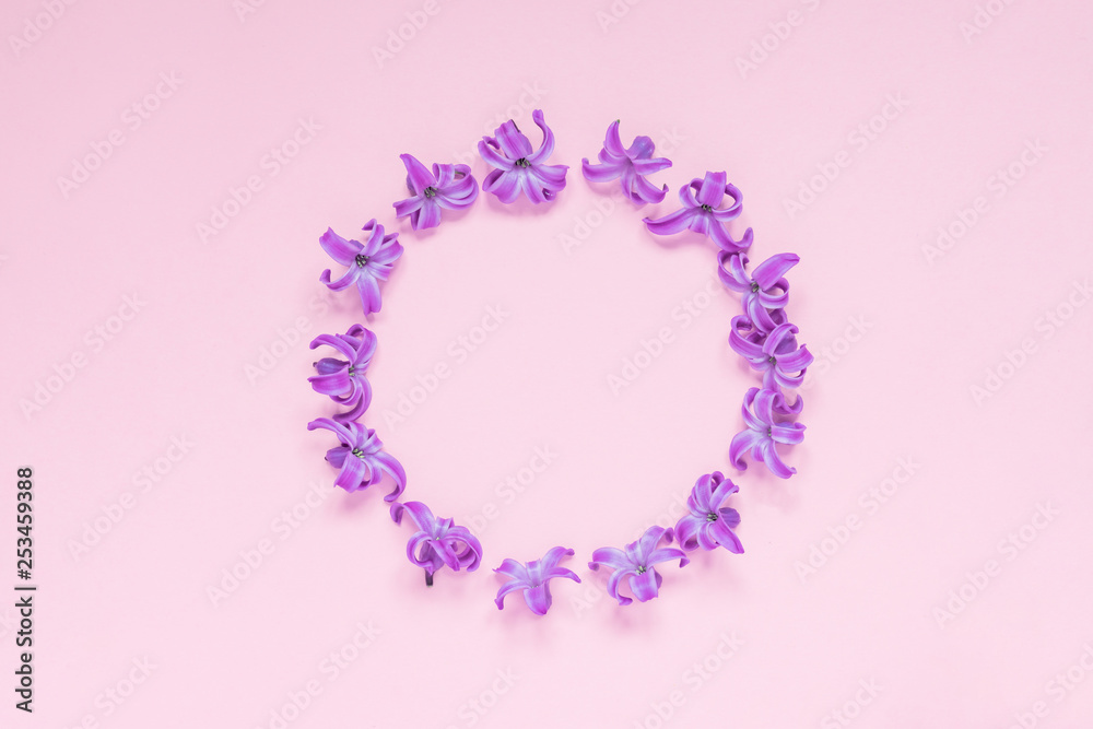 Round frame of pastel purple hyecinth flowers on gradient pink background. Floral wreath. Layout for holidays greeting of Mothers day, birthday, wedding or other happy event