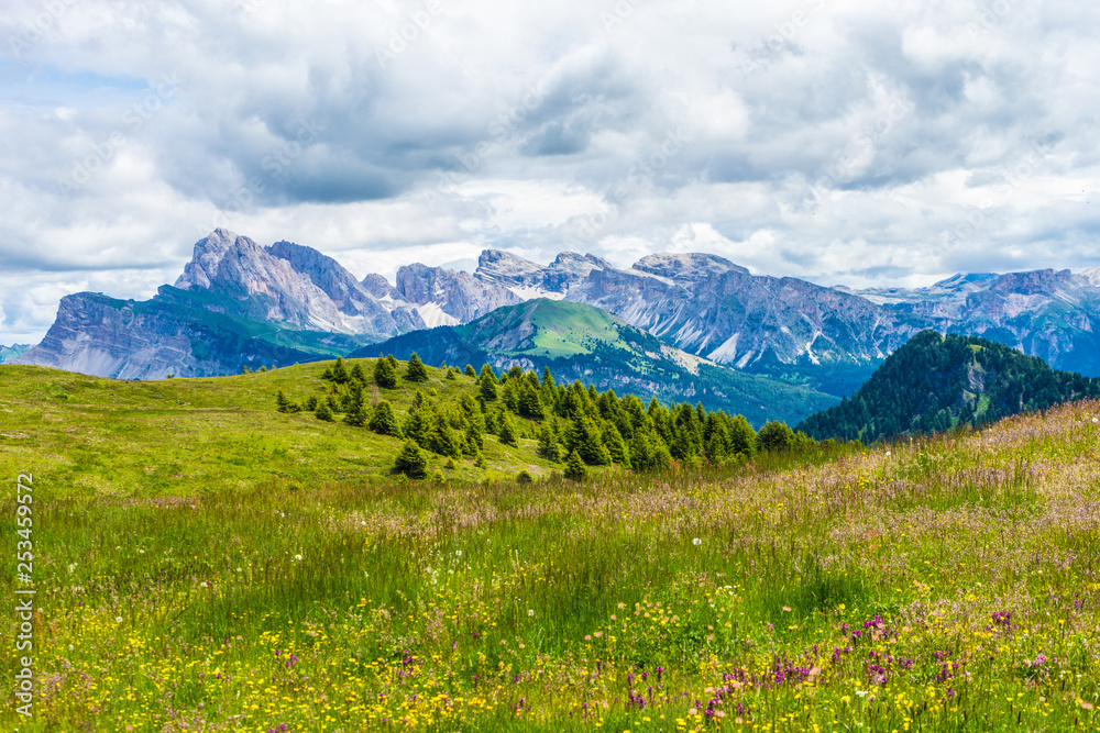 Alpe di Siusi, Seiser Alm with Sassolungo Langkofel Dolomite, a large green field with a mountain in the background Alpe di Siusi, Seiser Alm with Sassolungo Langkofel Dolomite, a large green field with a mountain in the background