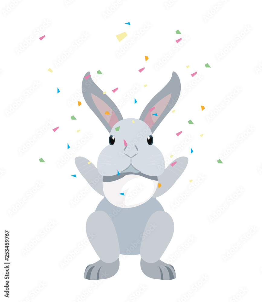 cute rabbit animal cute rabbit animal