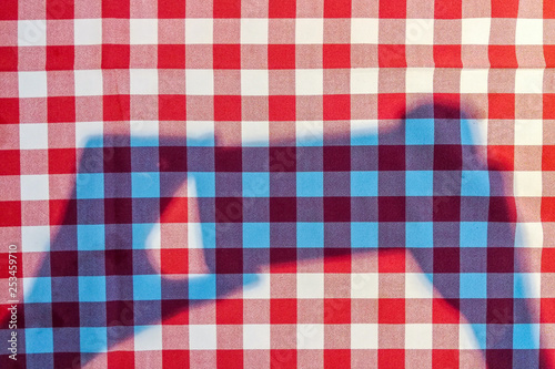 Checkered red and white cotton tablecloth on the table of a cafe or restaurant with a shadow from the hands holding a smartphone. Top view
