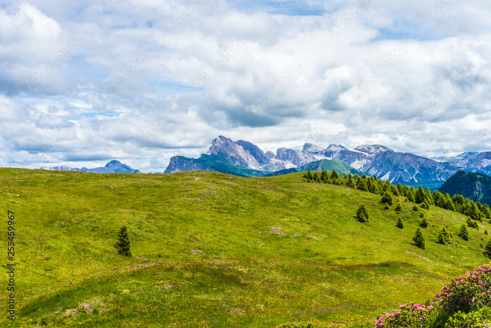 Fototapeta premium Alpe di Siusi, Seiser Alm with Sassolungo Langkofel Dolomite, a large green field with a mountain in the background