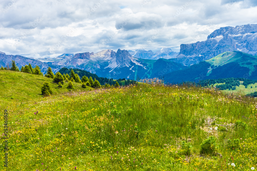 Alpe di Siusi, Seiser Alm with Sassolungo Langkofel Dolomite, a large green field with a mountain in the background Alpe di Siusi, Seiser Alm with Sassolungo Langkofel Dolomite, a large green field with a mountain in the background