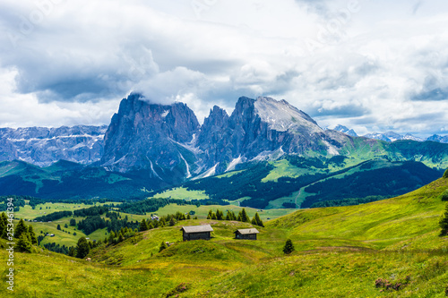 Alpe di Siusi, Seiser Alm with Sassolungo Langkofel Dolomite, a field with Dolomites in the background