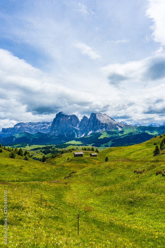 Alpe di Siusi, Seiser Alm with Sassolungo Langkofel Dolomite, a large green field with a mountain in the background