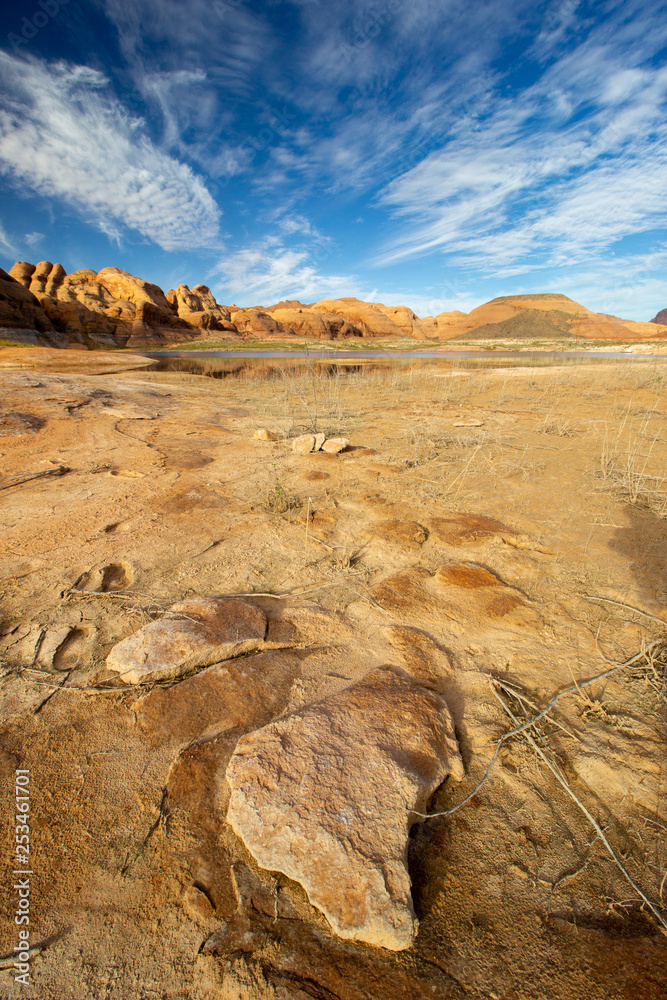 Obraz premium High Desert