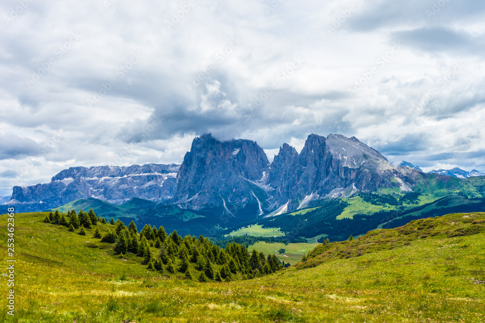 Alpe di Siusi, Seiser Alm with Sassolungo Langkofel Dolomite, a large green field with a mountain in the background