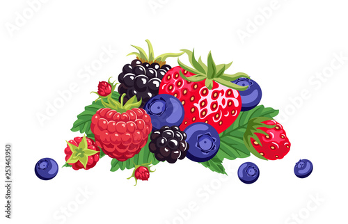 Forest berries isolated on white background. Banner with a pile of raspberries, strawberries, blueberries, blackberries. Food vector illustration in cartoon simple flat style.