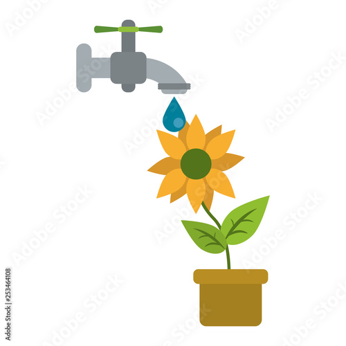 sunflower under water faucet