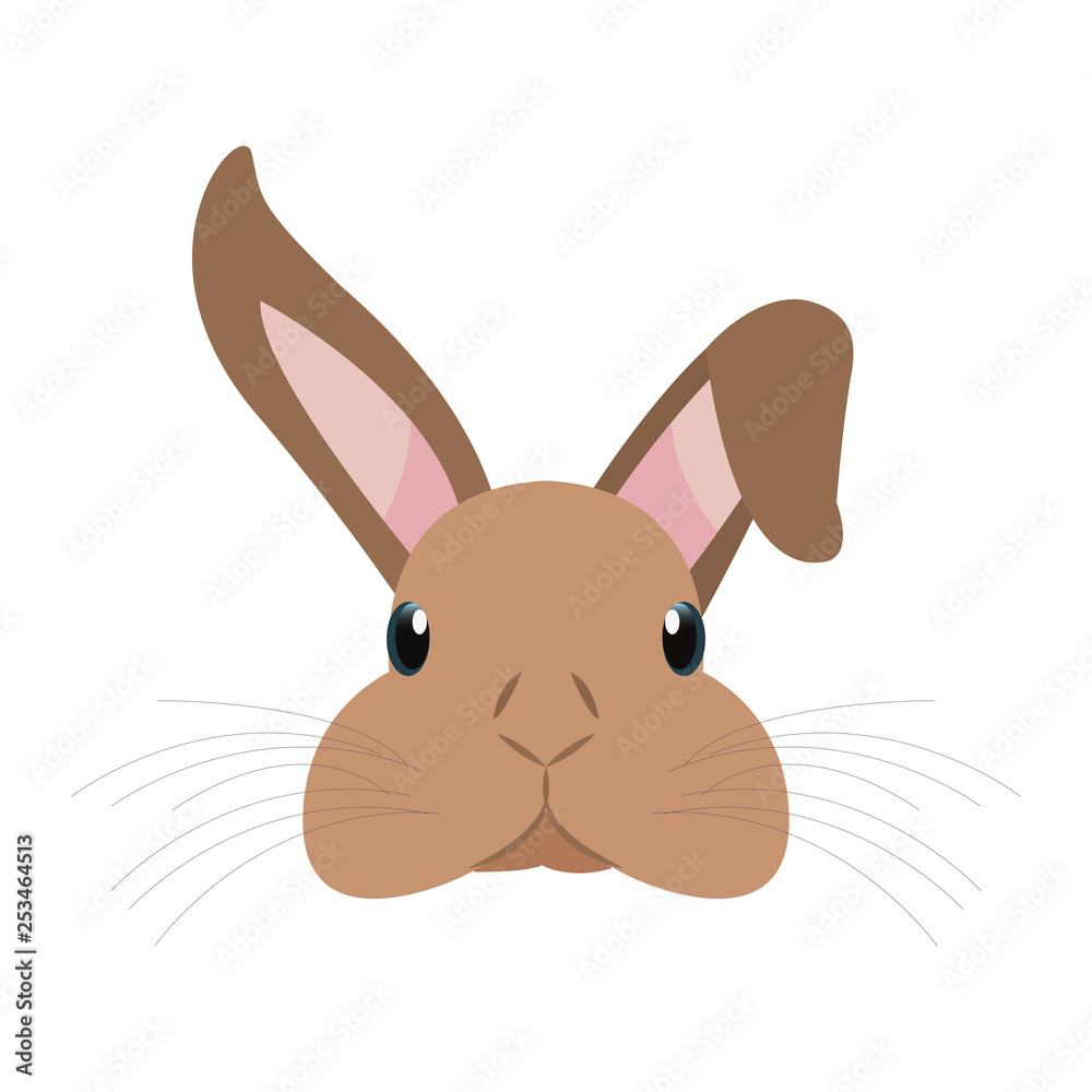 Fototapeta premium cute head rabbit