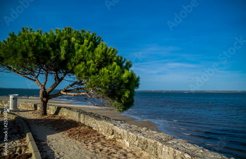 Arcachon, Gironde, Nouvelle-Aquitaine, France.