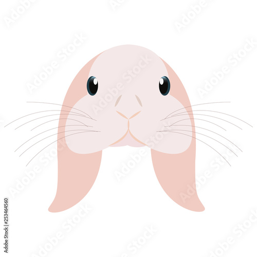cute head rabbit