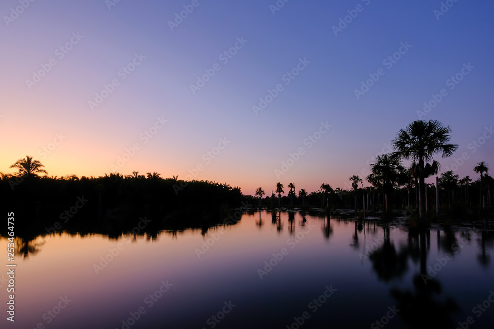 Reflection of the palm trees in the lagoon Lagoa das Araras at sunrise, Bom Jardim, Mato Grosso, Brazil, South America