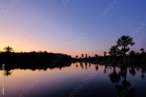 Reflection of the palm trees in the lagoon Lagoa das Araras at sunrise, Bom Jardim, Mato Grosso, Brazil, South America © reisegraf