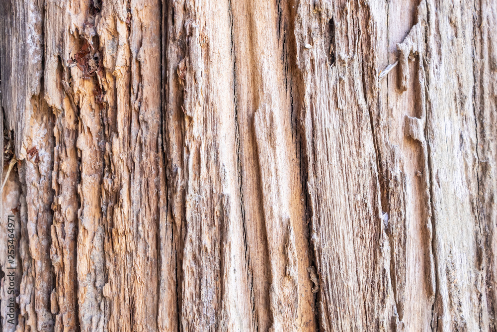 Old rustic wood texture background Old rustic wood texture background