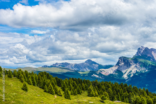 Alpe di Siusi, Seiser Alm with Sassolungo Langkofel Dolomite, a large mountain in the background © SkandaRamana