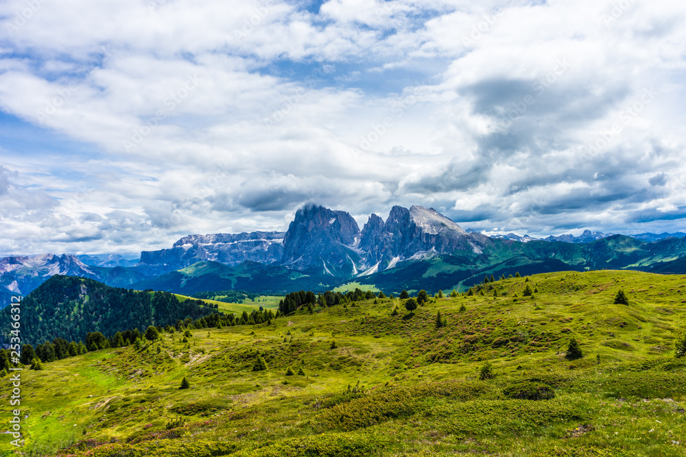 Alpe di Siusi, Seiser Alm with Sassolungo Langkofel Dolomite, a large green field with a mountain in the background