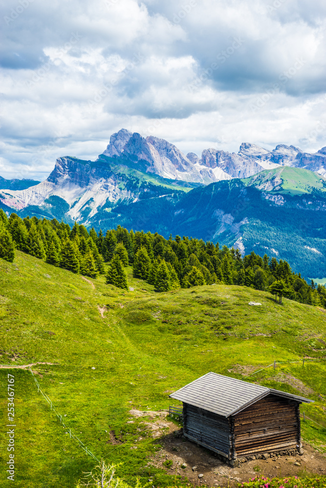 Alpe di Siusi, Seiser Alm with Sassolungo Langkofel Dolomite, a hut house mountain in the background