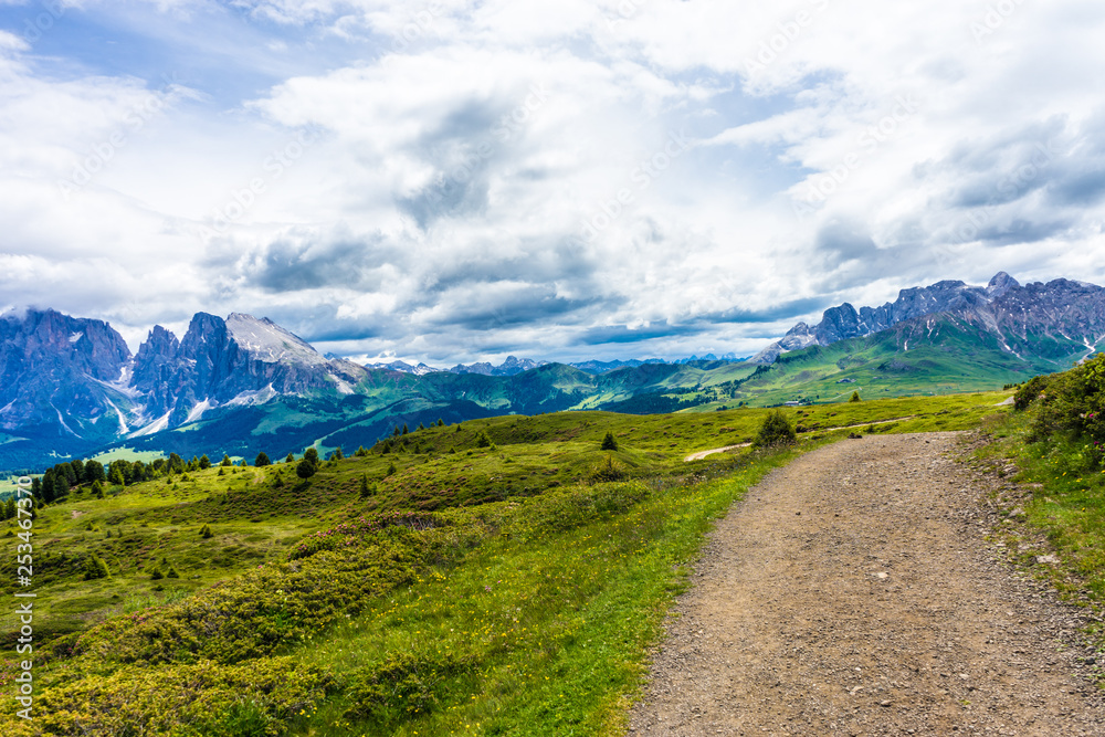 Alpe di Siusi, Seiser Alm with Sassolungo Langkofel Dolomite, a trekking walking winding path in a lush green field Alpe di Siusi, Seiser Alm with Sassolungo Langkofel Dolomite, a trekking walking winding path in a lush green field