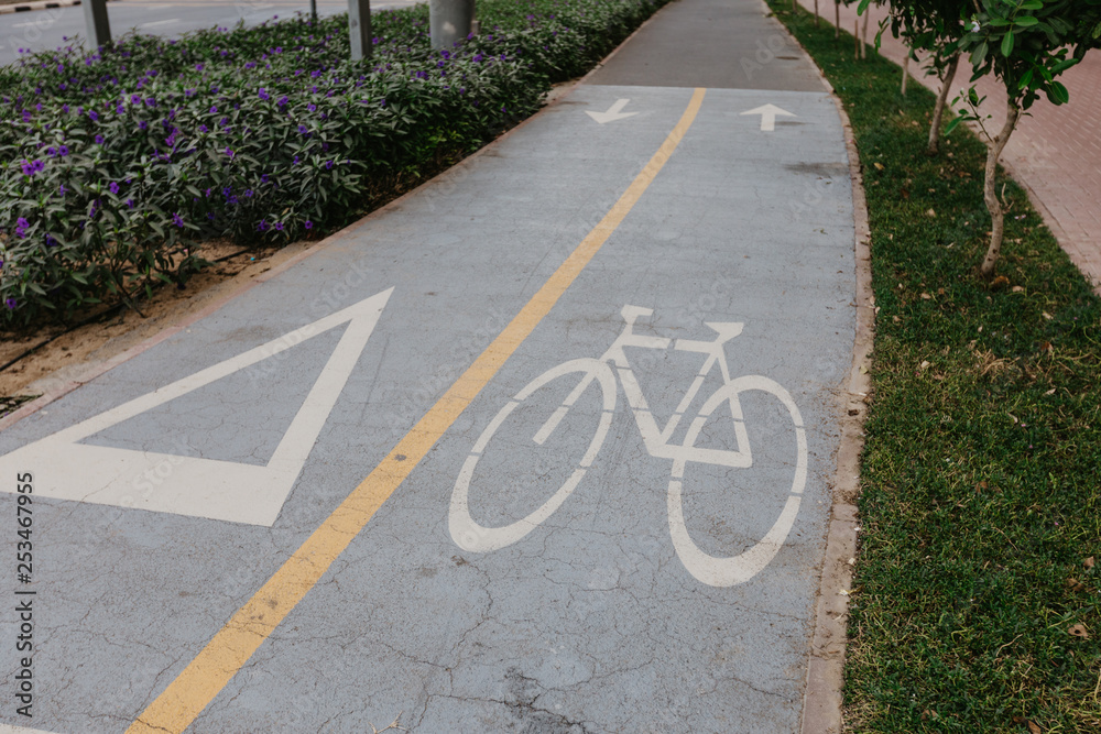 Obraz premium Bicycle symbol on the road in the park