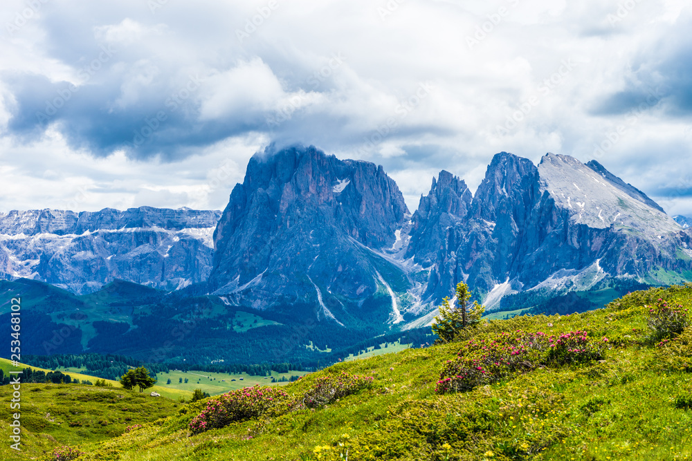 Alpe di Siusi, Seiser Alm with Sassolungo Langkofel Dolomite, a large green field with a mountain in the background Alpe di Siusi, Seiser Alm with Sassolungo Langkofel Dolomite, a large green field with a mountain in the background