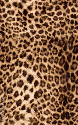 Leopard Fashion Pattern