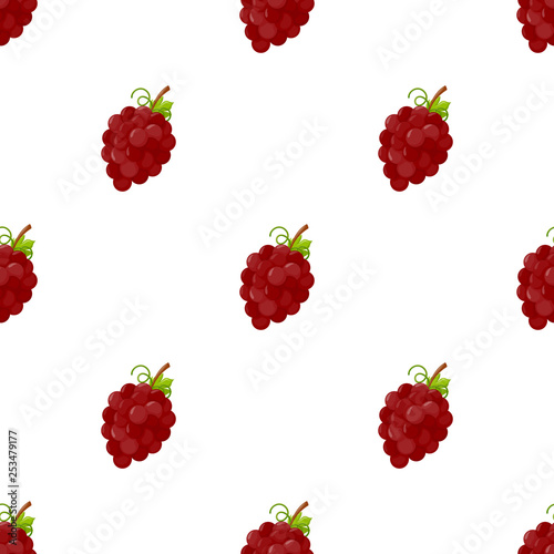 Seamless pattern with grape on white background