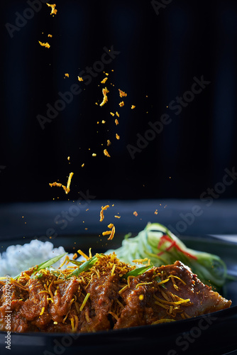 Beef Rendang gourmet dish photo