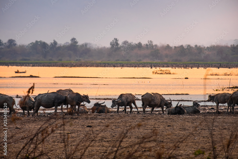 Obraz premium Sunset at mountain in Champasak town, Laos