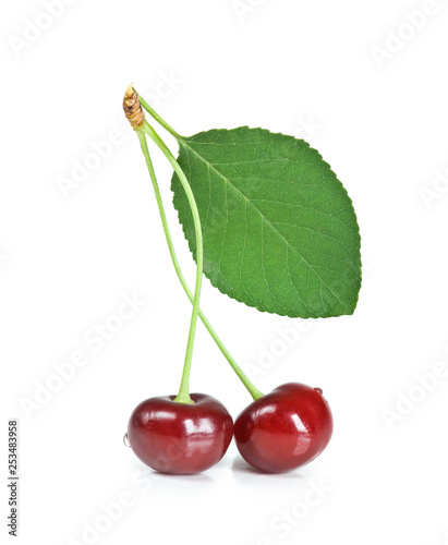 Couple of cherries with ste...