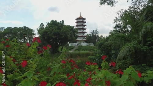 flowers in a Chinese garden the Singapore 4k