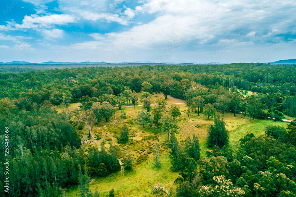 Aerial landscape of native Australian forest. Collombatti, New South Wales, Australia