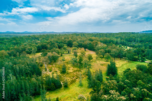 Aerial landscape of native Australian forest. Collombatti, New South Wales, Australia